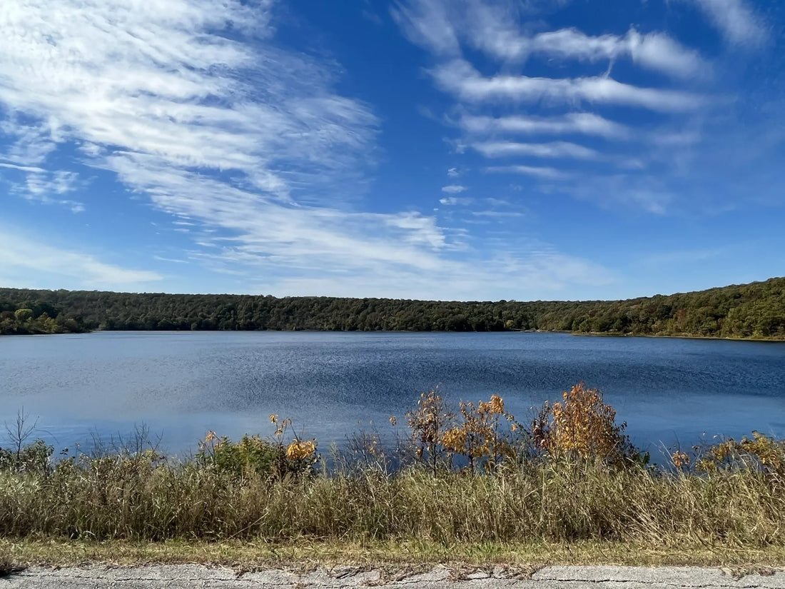 Best or Top Logo Design Agencies and Companies in Bixby, Oklahoma