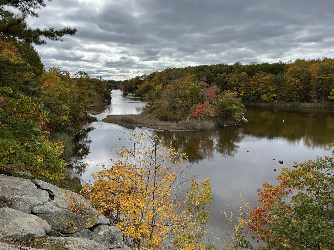 Top Video Editing Subscription Agencies and Companies in Connecticut