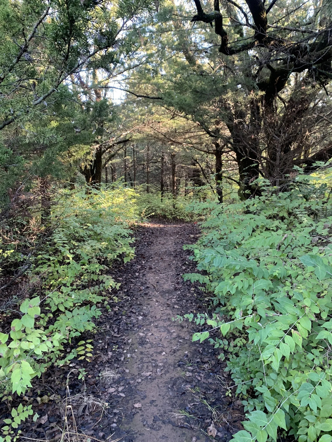 Best or Top Stationery Design Agencies and Companies in Ponca City, Oklahoma