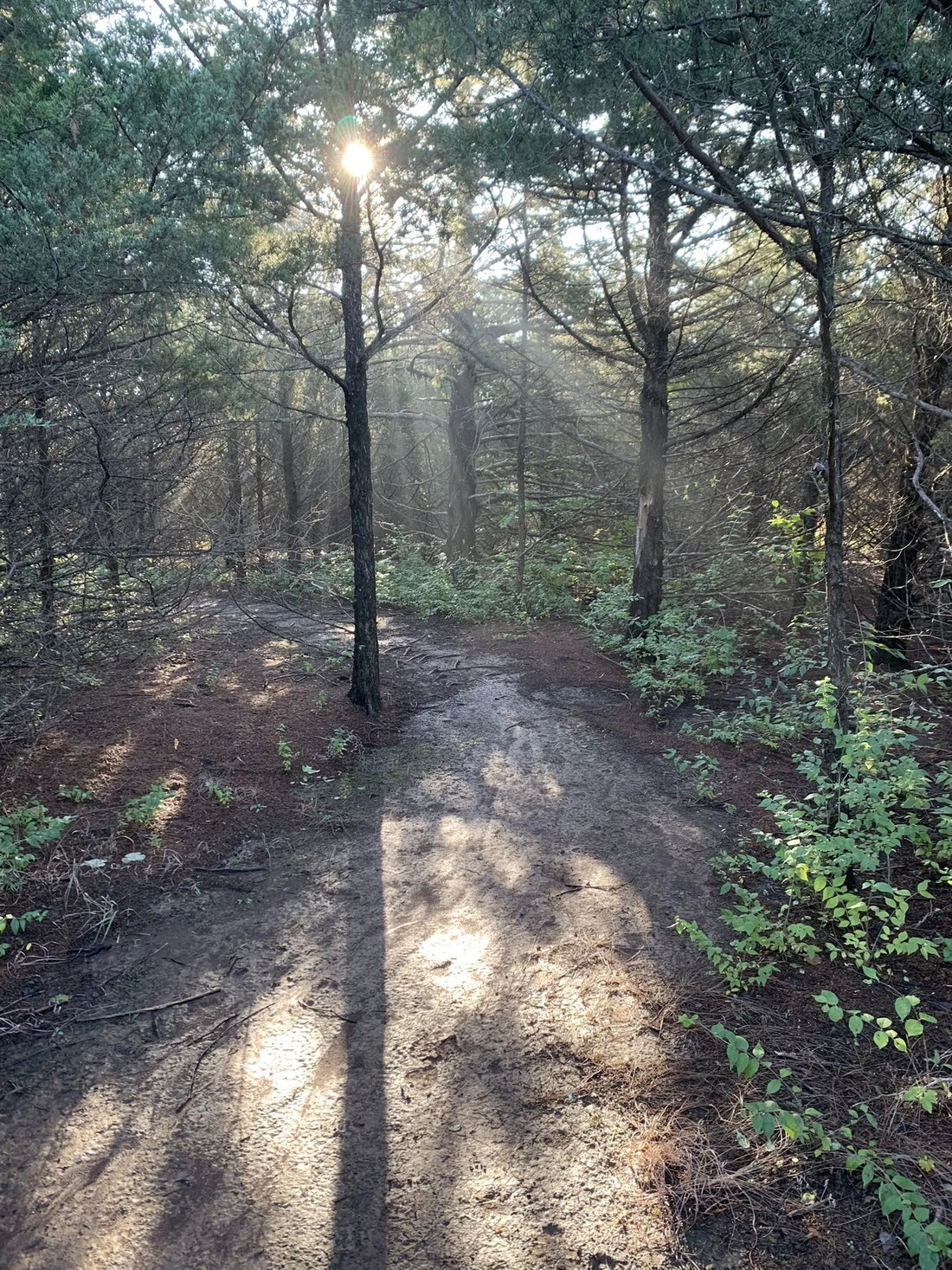 Best or Top Brand Identity Packages Agencies and Companies in Ponca City, Oklahoma