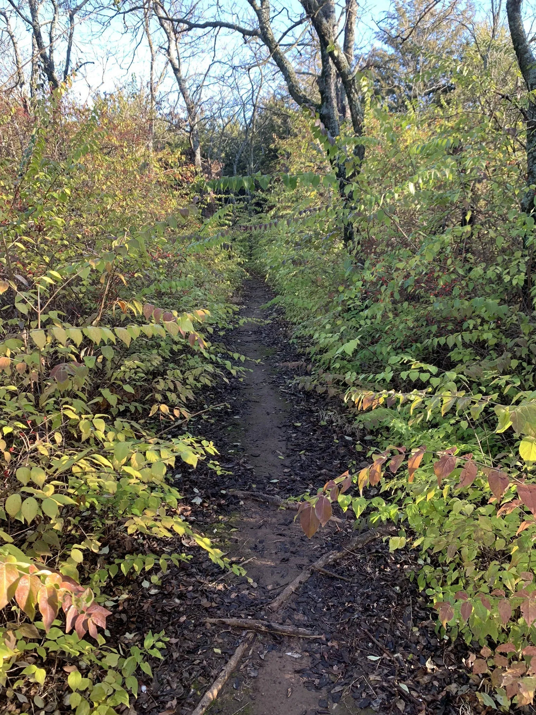 Best or Top Drawing & Illustration Agencies and Companies in Ponca City, Oklahoma