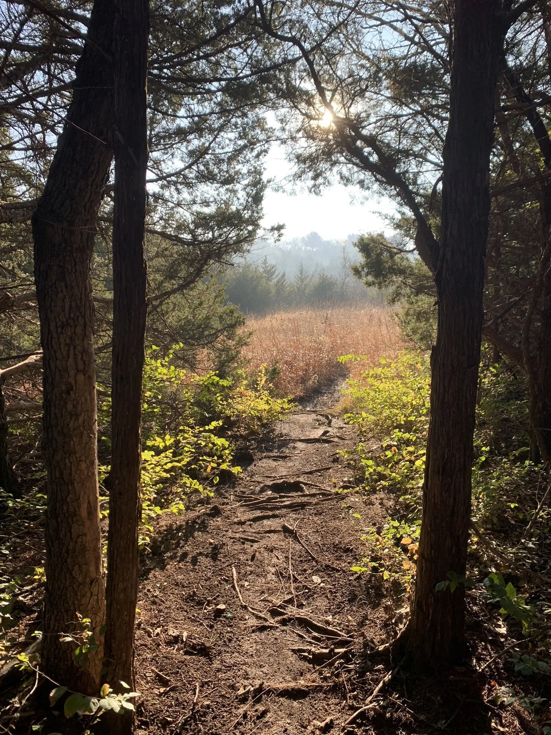 Best or Top NFT Art Agencies and Companies in Ponca City, Oklahoma