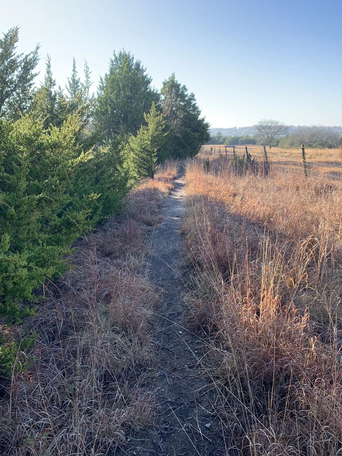 Best or Top Business Card Design Agencies and Companies in Ponca City, Oklahoma