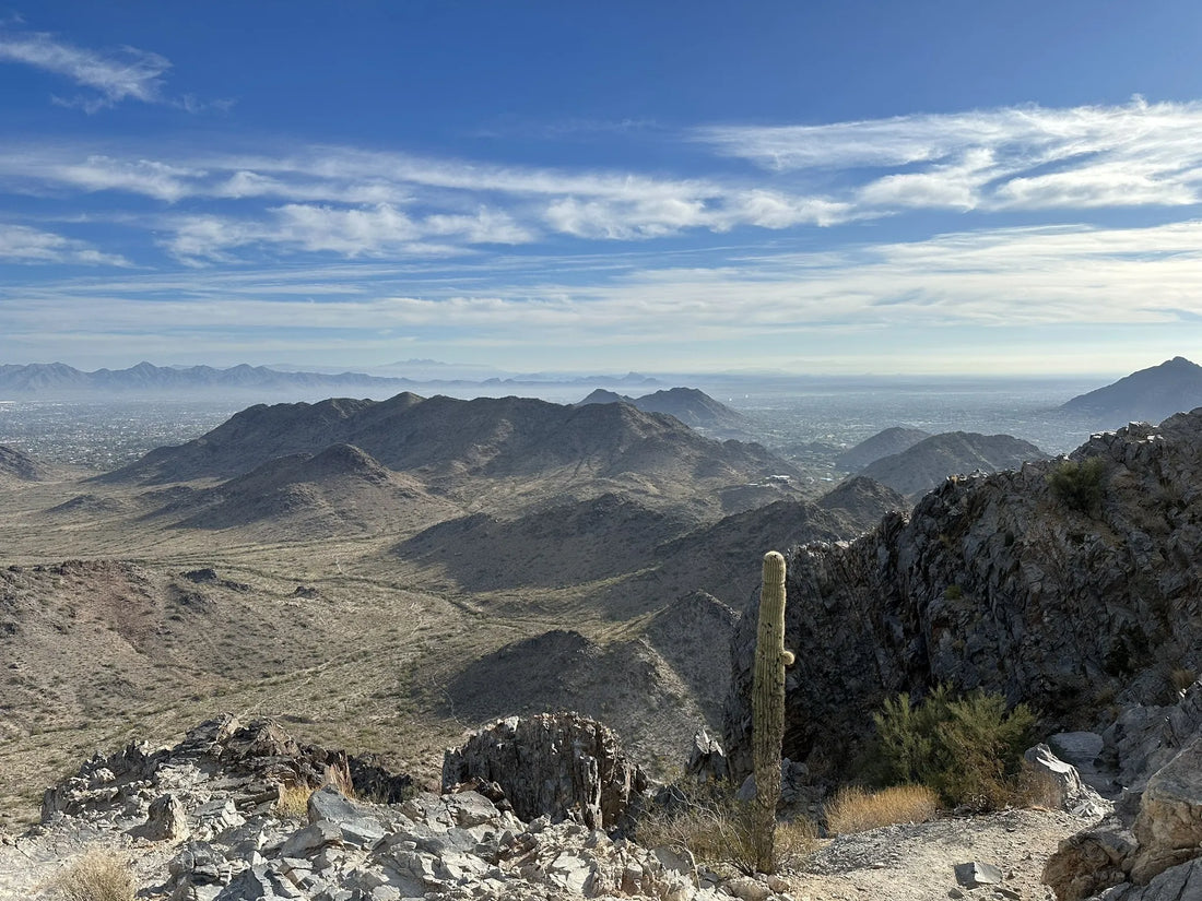 Top Talent Agencies and Companies in Arizona