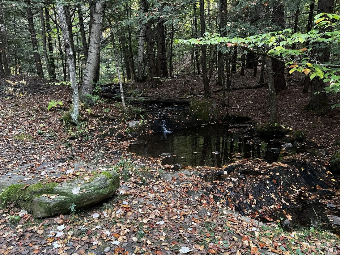 Best or Top Brochure Design Agencies and Companies in Montpelier, Vermont