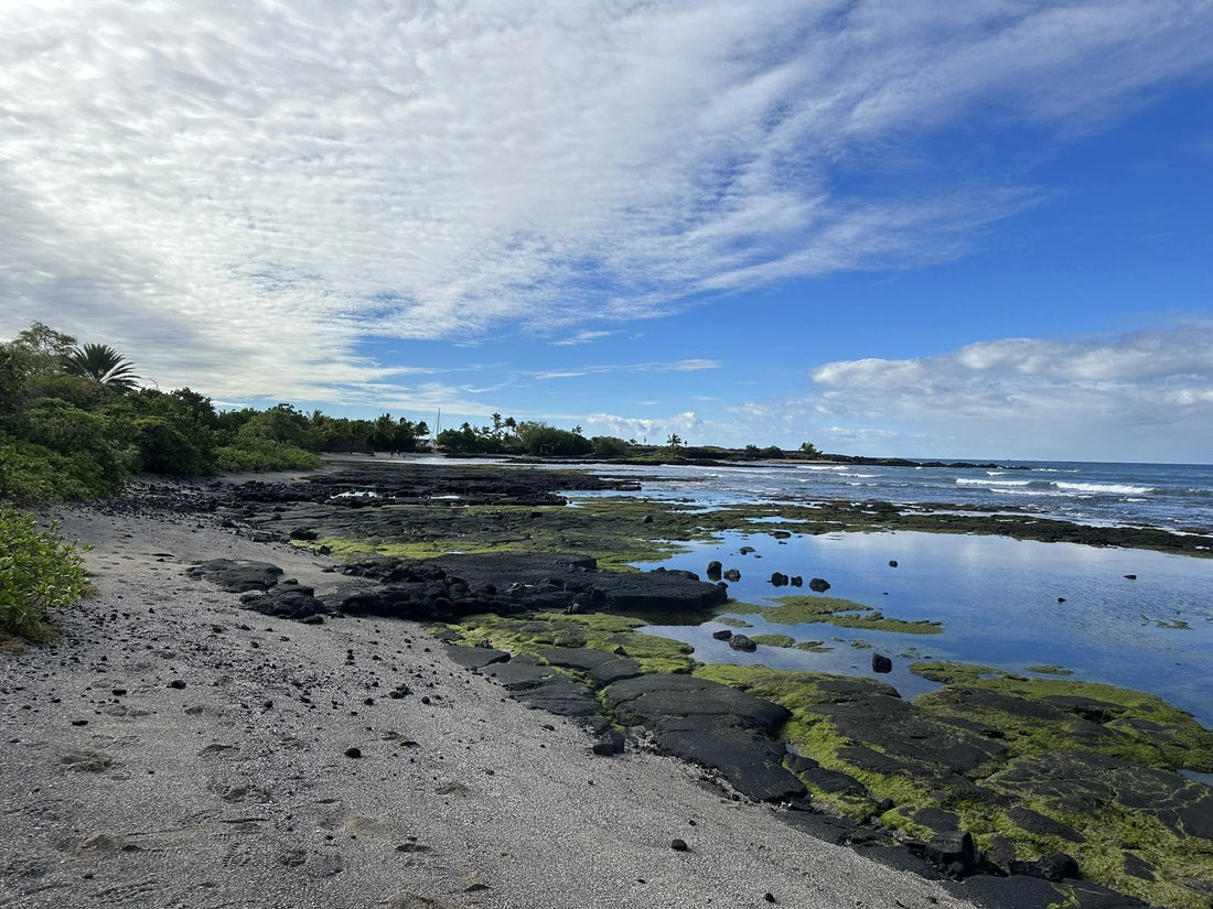 Top or Best NFT Art Agencies and Companies in Hawaii