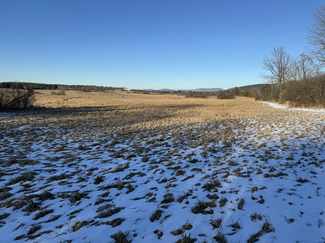 Best or Top Copywriting Agencies and Companies in St. Johnsbury, Vermont