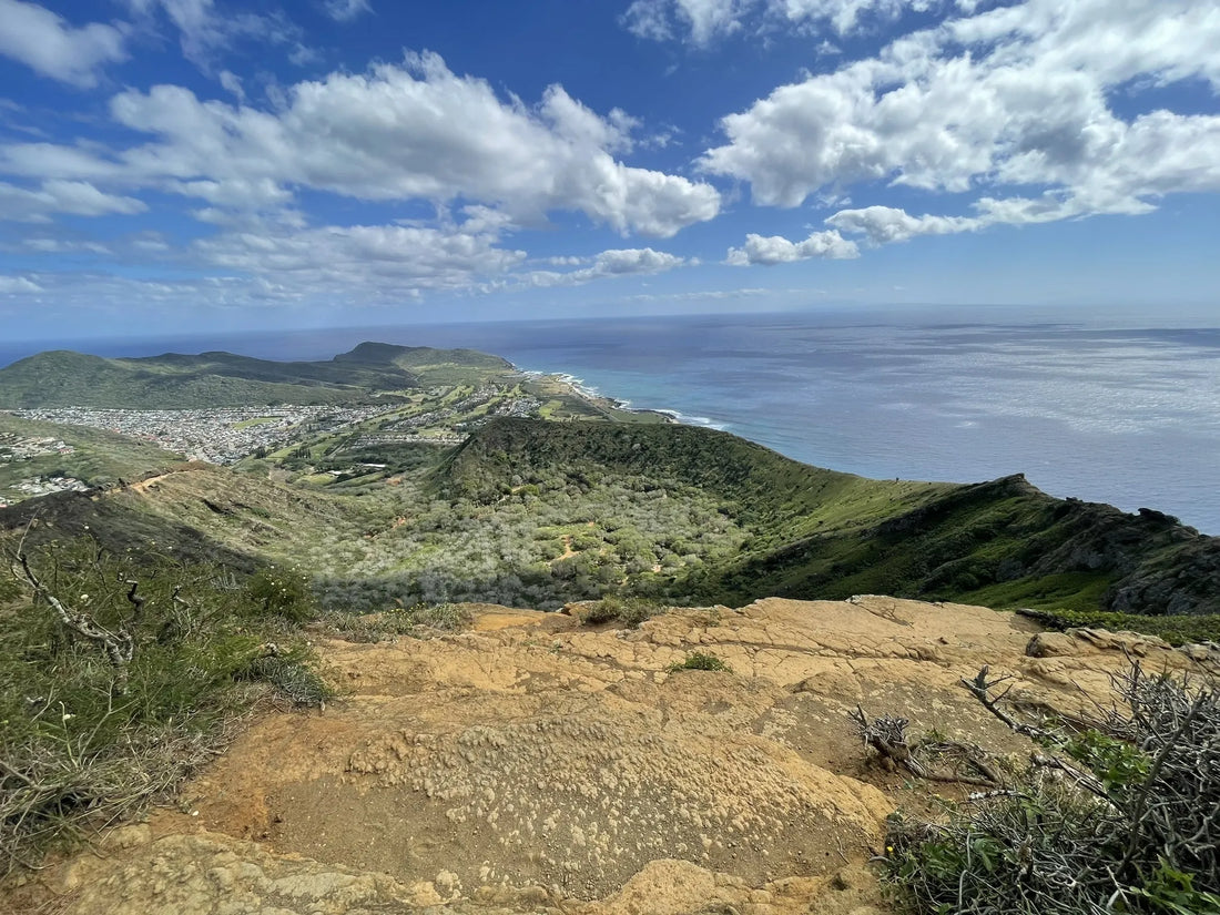 Top Influencer Outreach & Coordination Agencies and Companies in Hawaii