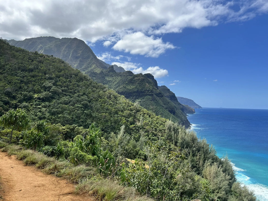 Top or Best Brand Partnership Agencies and Companies in Hawaii