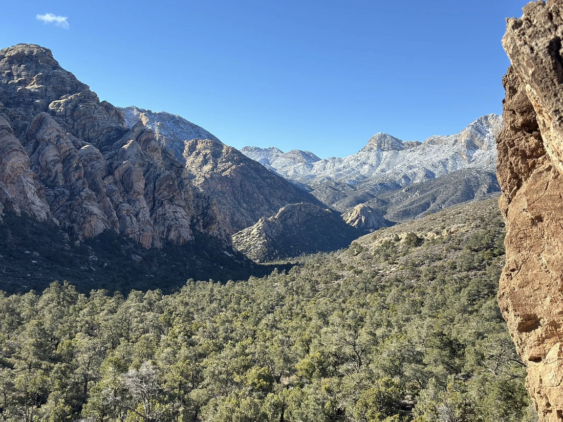 Best or Top Brochure Design Agencies and Companies in North Las Vegas, Nevada