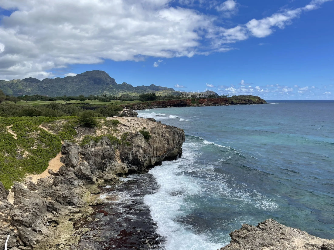 Top or Best Influencer Brand Collaboration Agencies and Companies in Hawaii