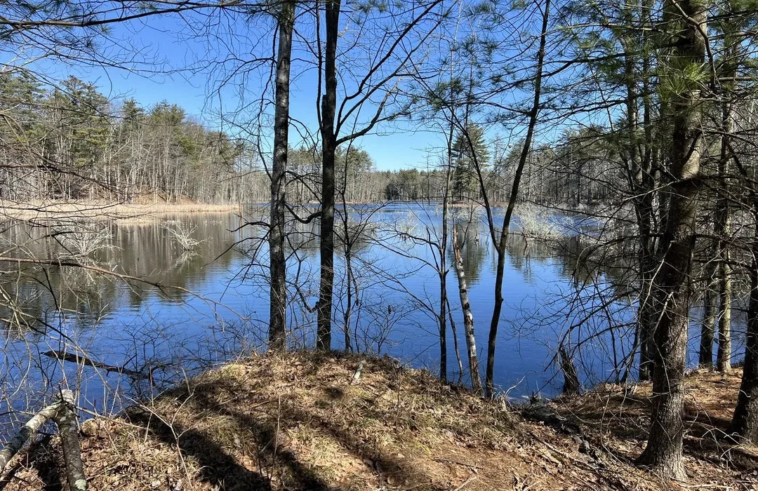 Top or Best Flyer Design Agencies and Companies in Milford, New Hampshire