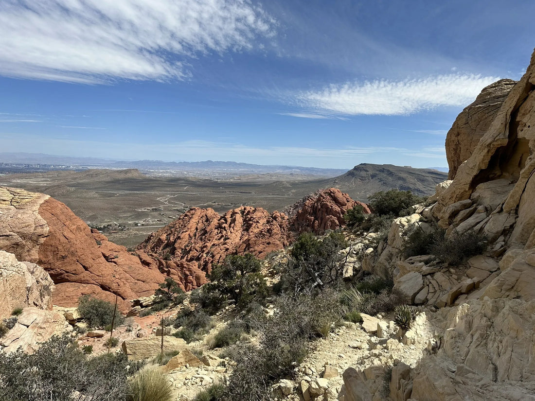 Best or Top TikTok Management Agencies and Companies in North Las Vegas, Nevada