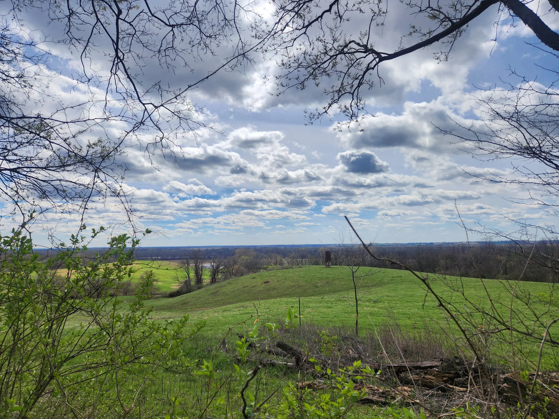 Top or Best Graphic Design Agencies and Companies in Illinois