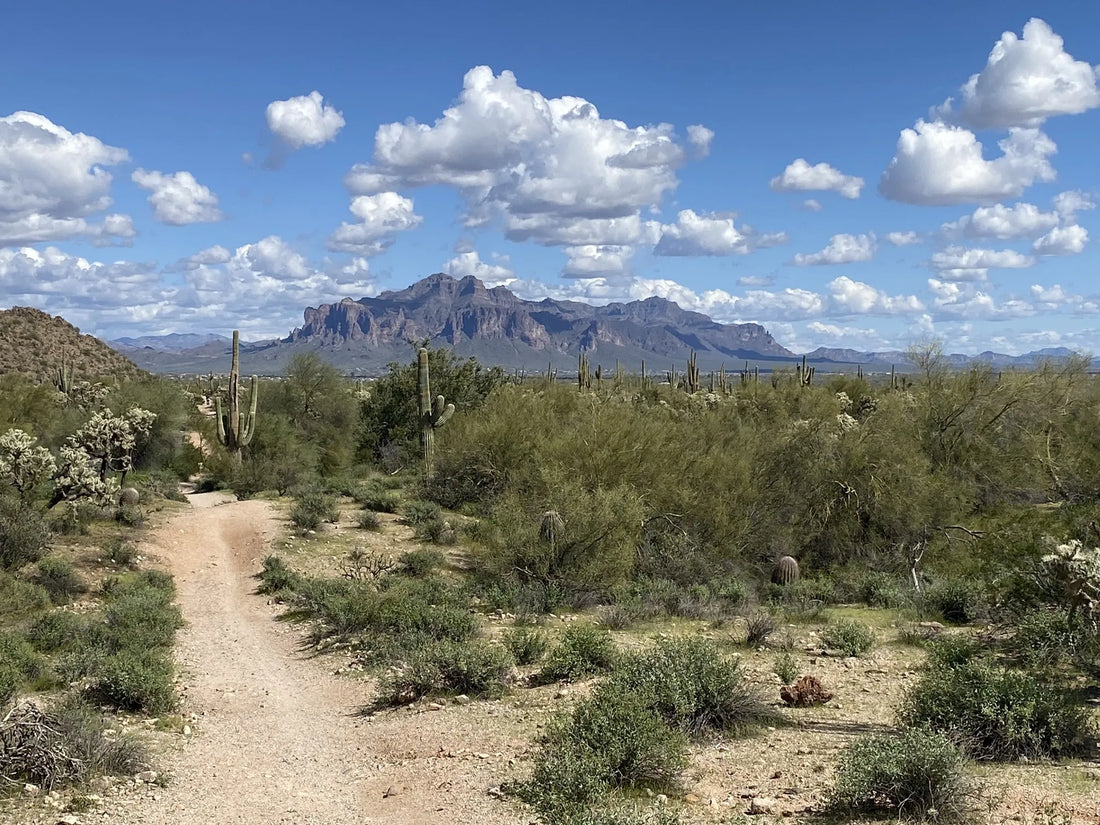 Influencer Marketing Campaign in Arizona