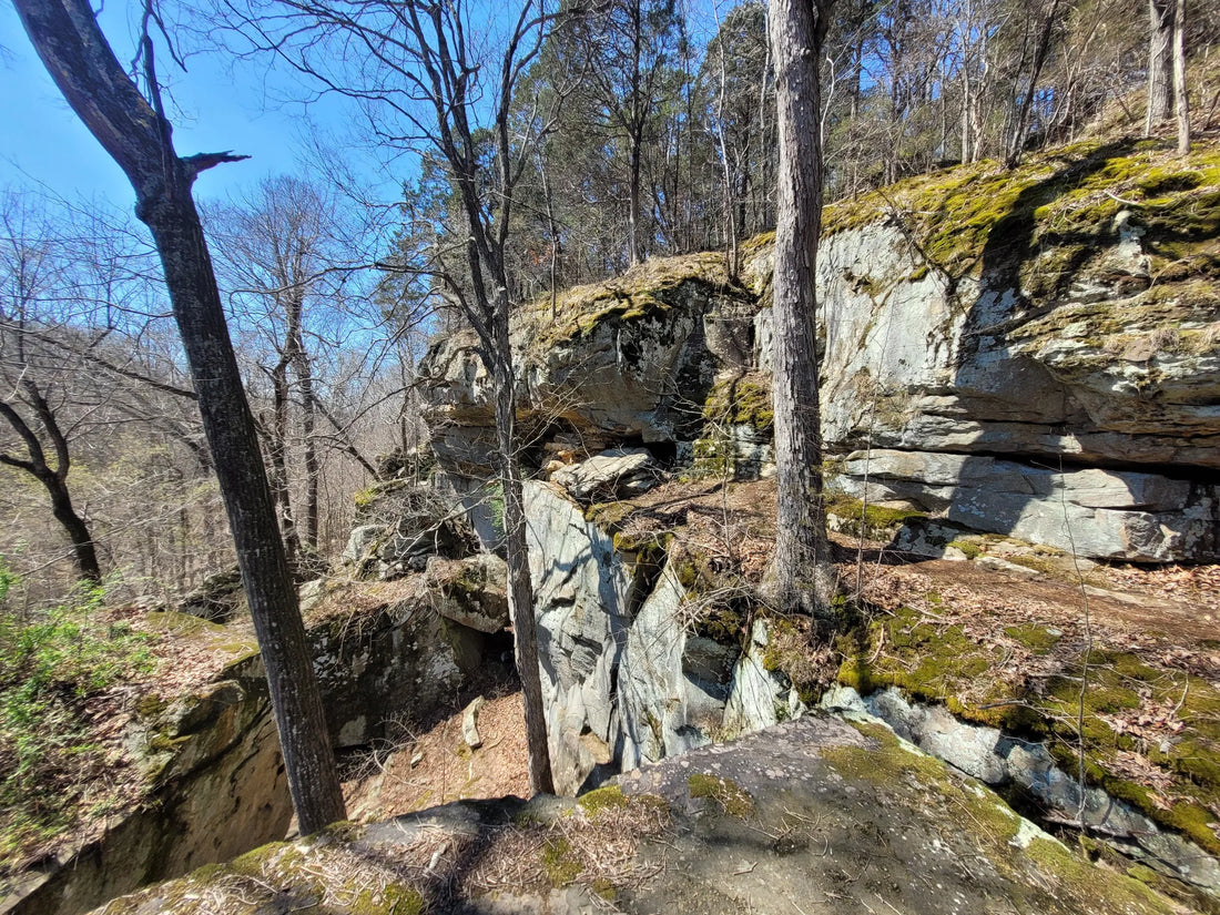 Top or Best T-Shirt & Merchandise Design Agencies and Companies in Illinois