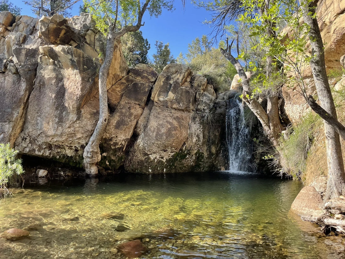 Best or Top YouTube Management Agencies and Companies in North Las Vegas, Nevada