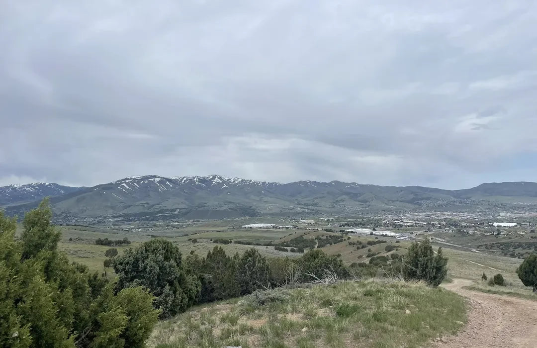 Top or Best Facebook Management Agencies and Companies in Pocatello, Idaho