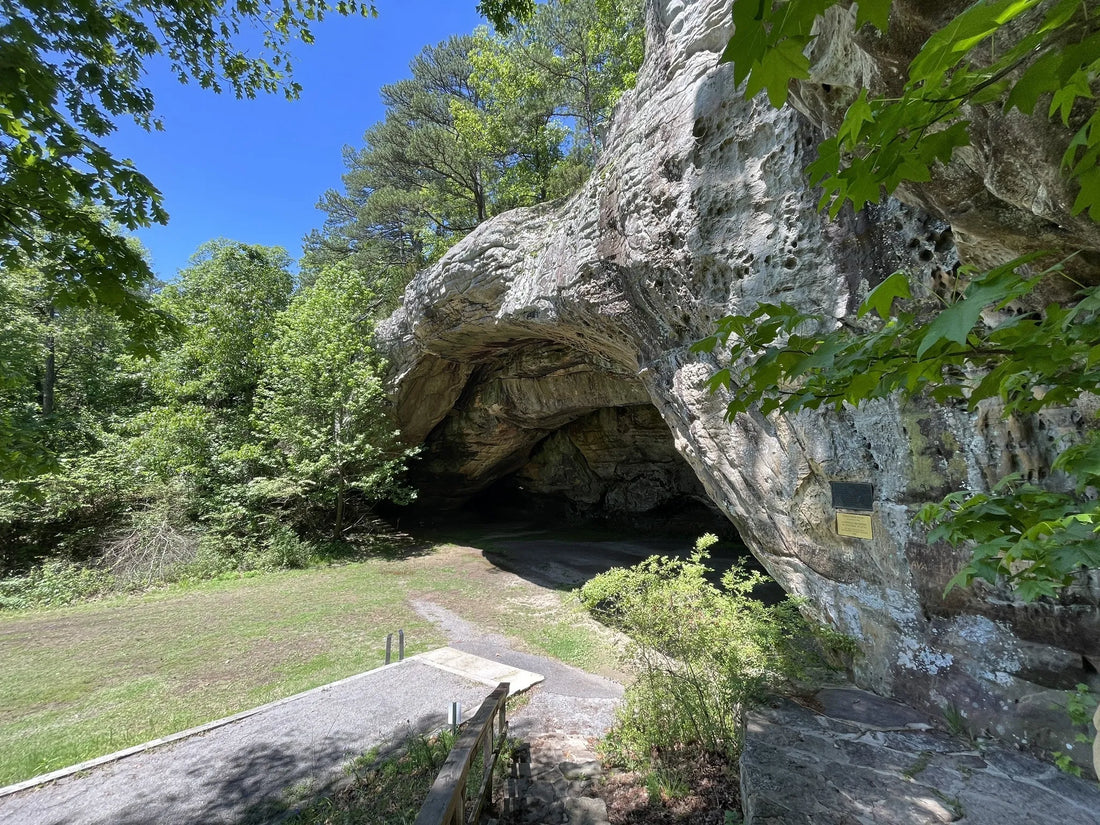 Top Influencer Marketing Agencies and Companies in Arkansas