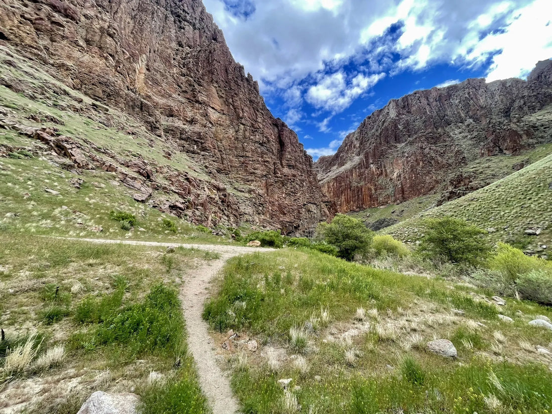 Top or Best Athlete Brand Collaboration Agencies and Companies in Idaho