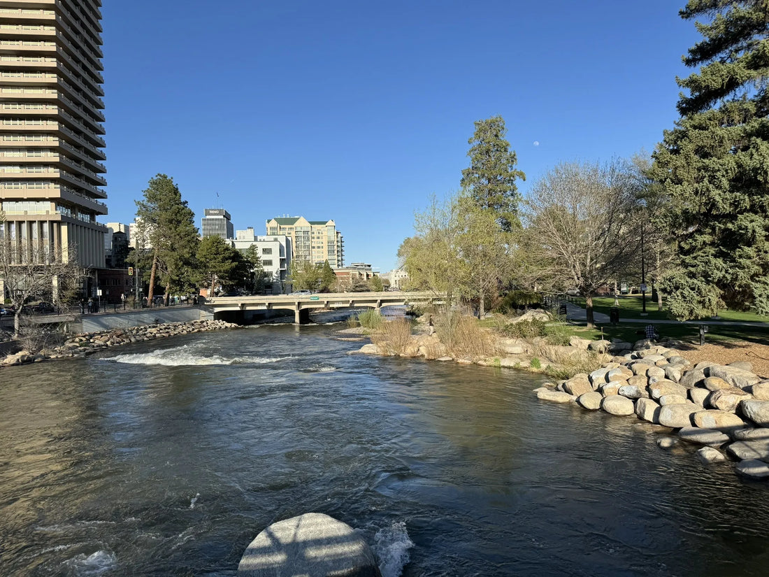 Best or Top Custom Graphics for Videos Agencies and Companies in Reno, Nevada