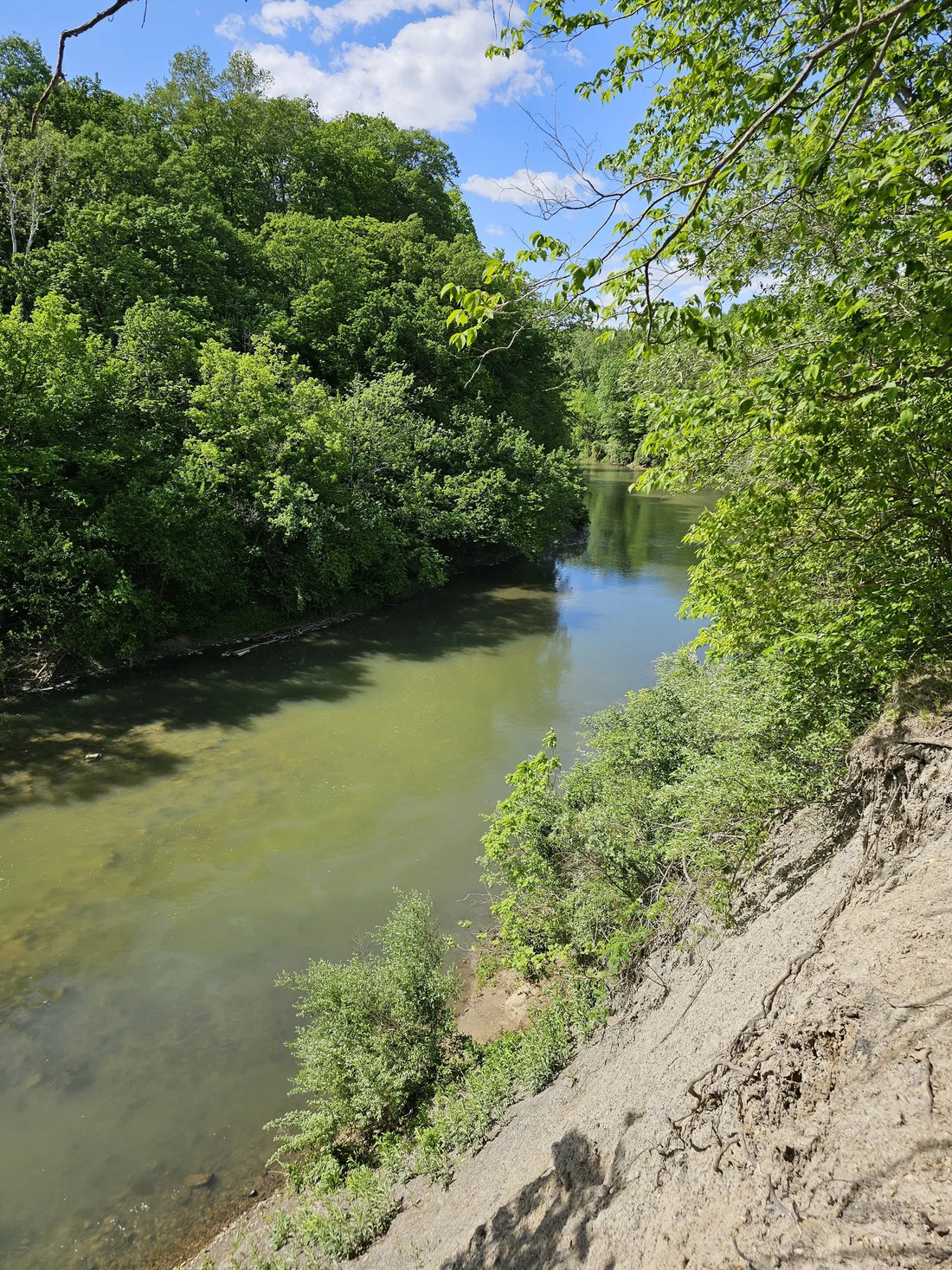 Top or Best Athlete Management Agencies and Companies in Illinois