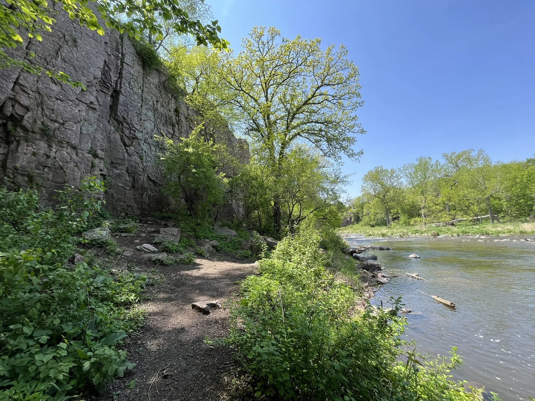 Best or Top Brochure Design Agencies and Companies in Sioux Falls, South Dakota