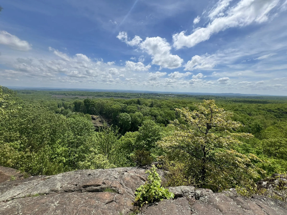 Top Athlete Management Agencies and Companies in Connecticut