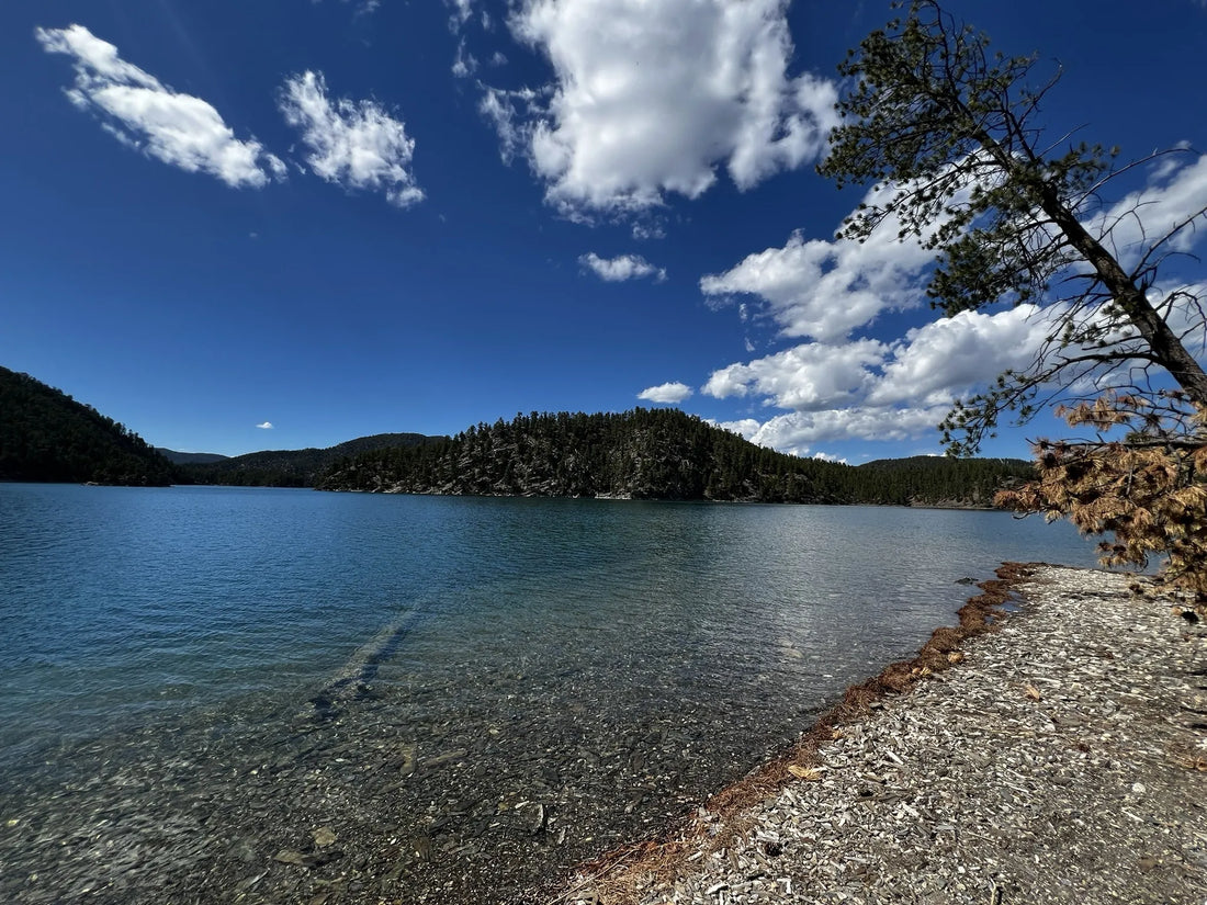 Best or Top Virtual Background Design Agencies and Companies in Sioux Falls, South Dakota