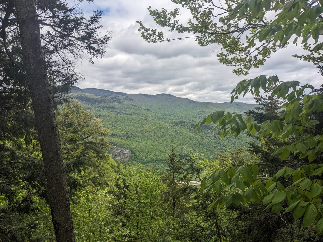 Best or Top Video Editing Agencies and Companies in Barre City, Vermont