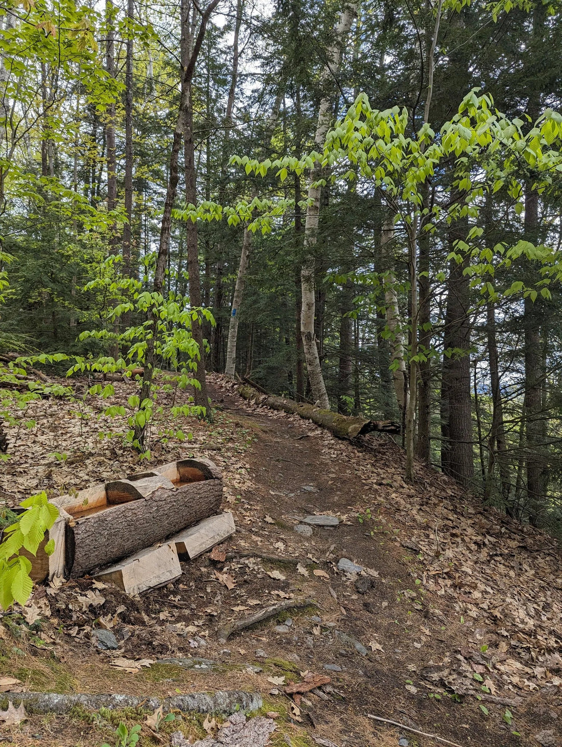 Best or Top Web & Mobile Design Agencies and Companies in St. Johnsbury, Vermont