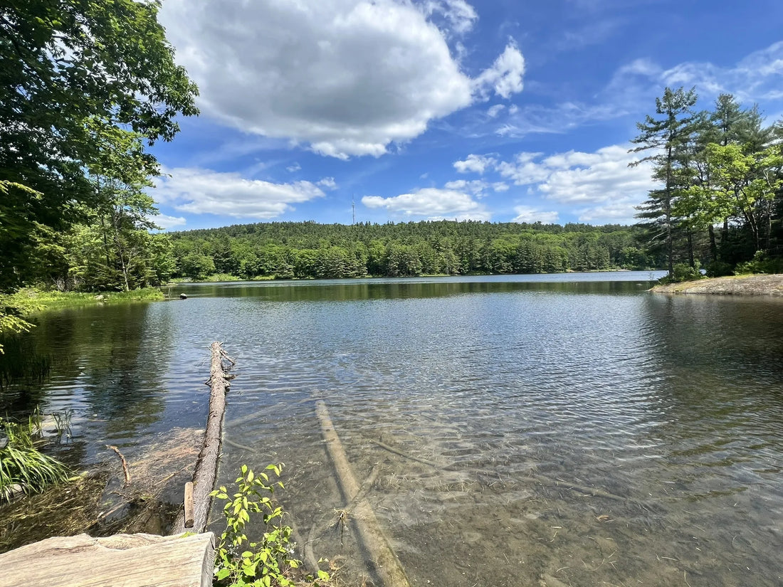 Best or Top AR Filters & Lenses Agencies and Companies in Williston, Vermont