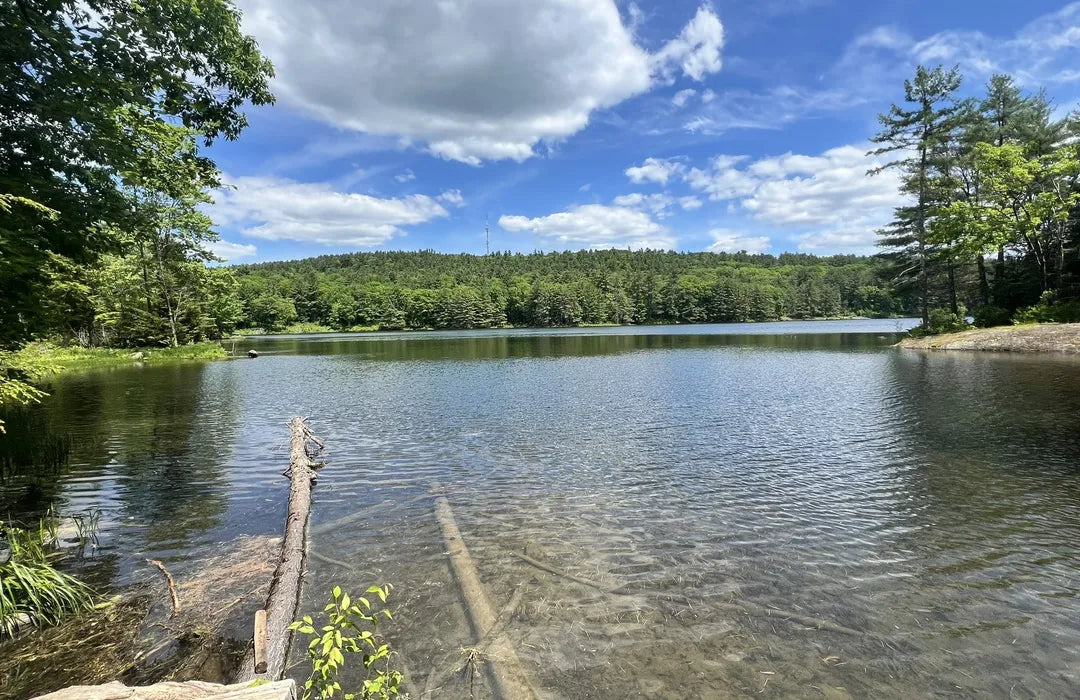 Top or Best Logo Animation Agencies and Companies in Essex, Vermont