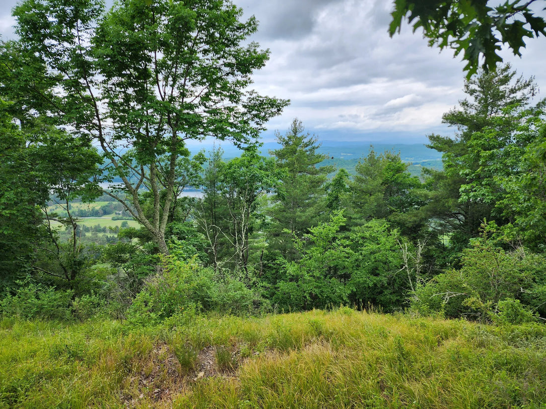Best or Top App UI/UX Design Agencies and Companies in Barre Town, Vermont