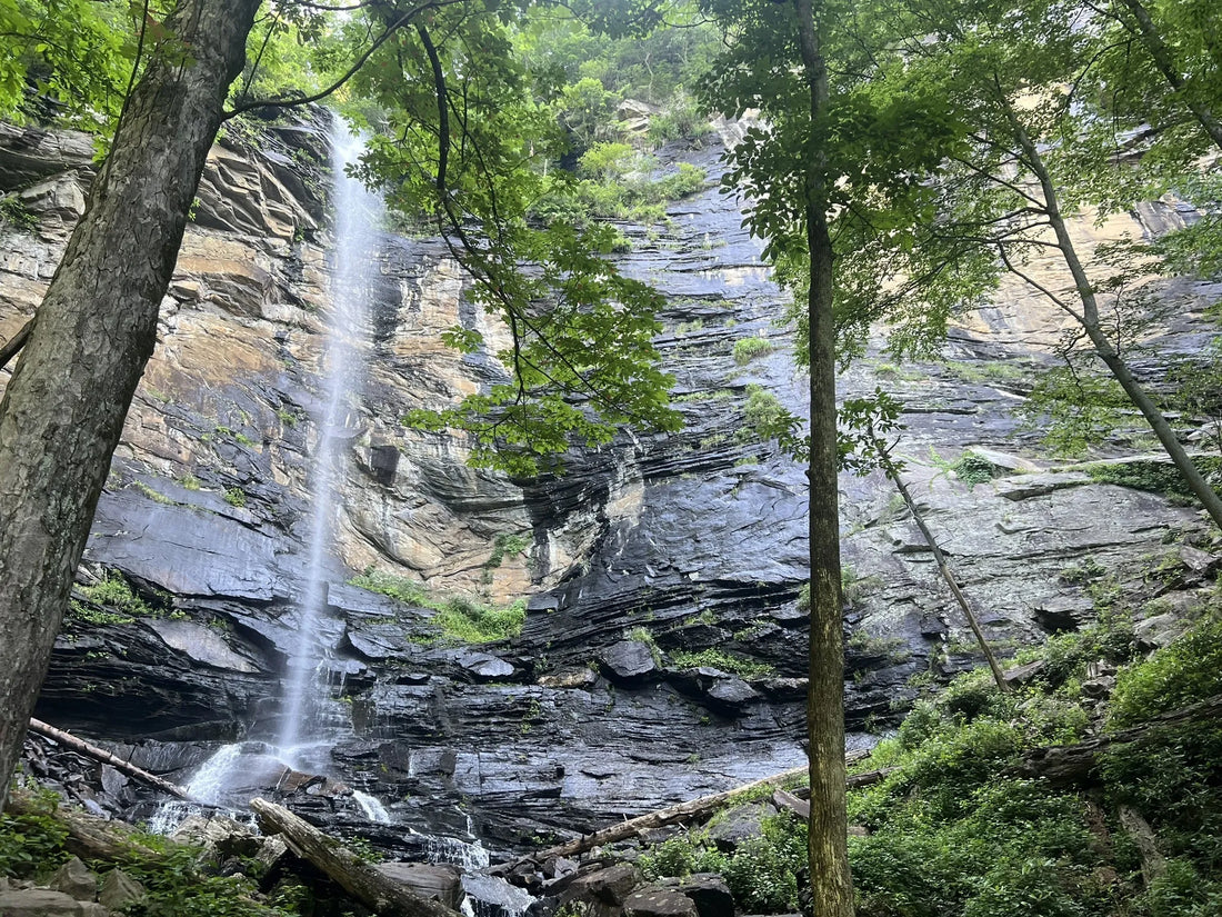 Top Business Card Design Subscription Agencies and Companies in Apex, North Carolina