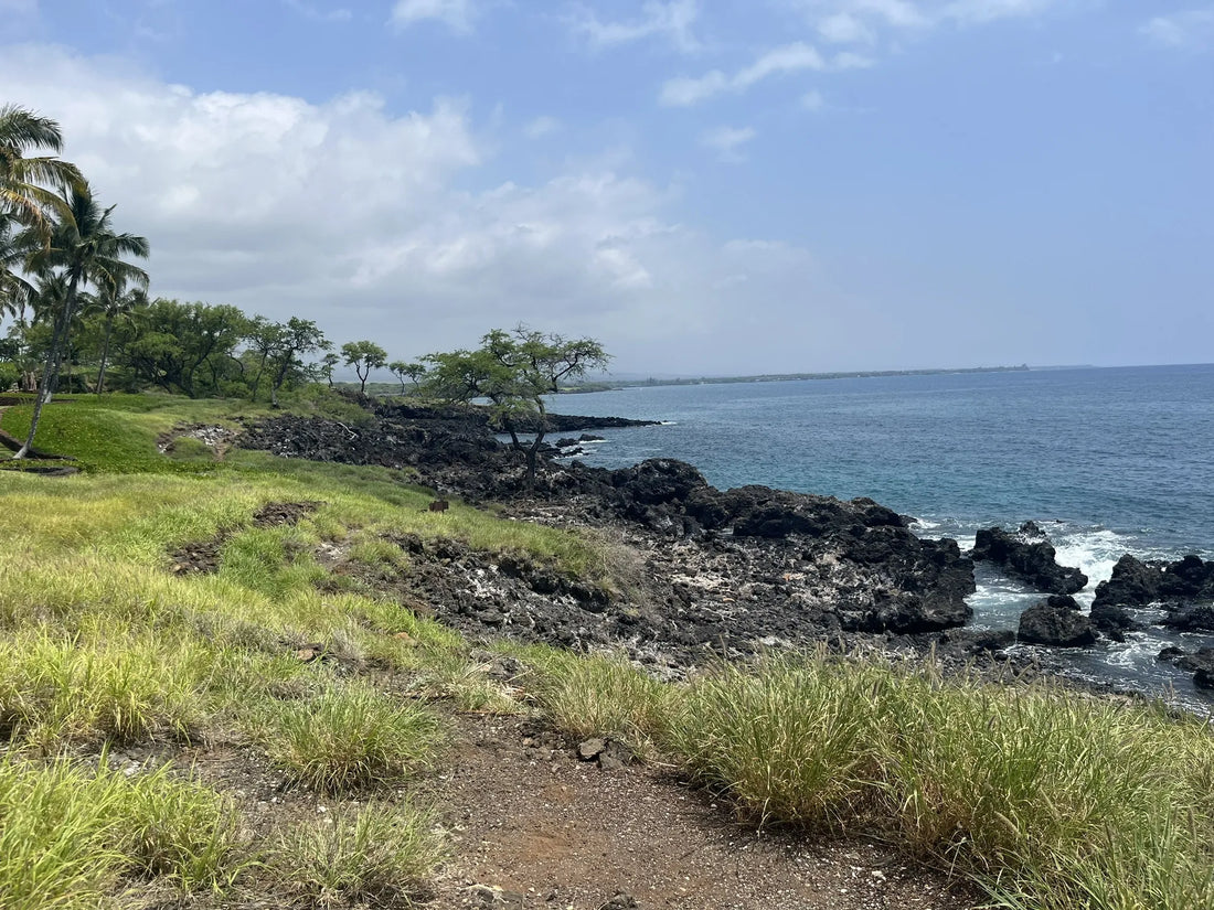 Top or Best Photo Editing Agencies and Companies in Hawaii