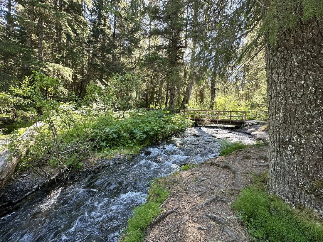 Top Athlete Management Agencies and Companies in Alaska