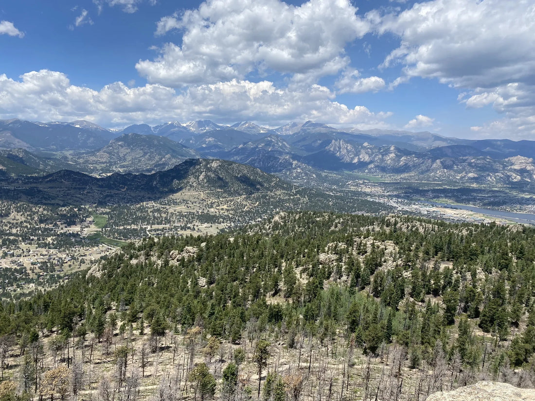 Top Talent Agencies and Companies in Colorado