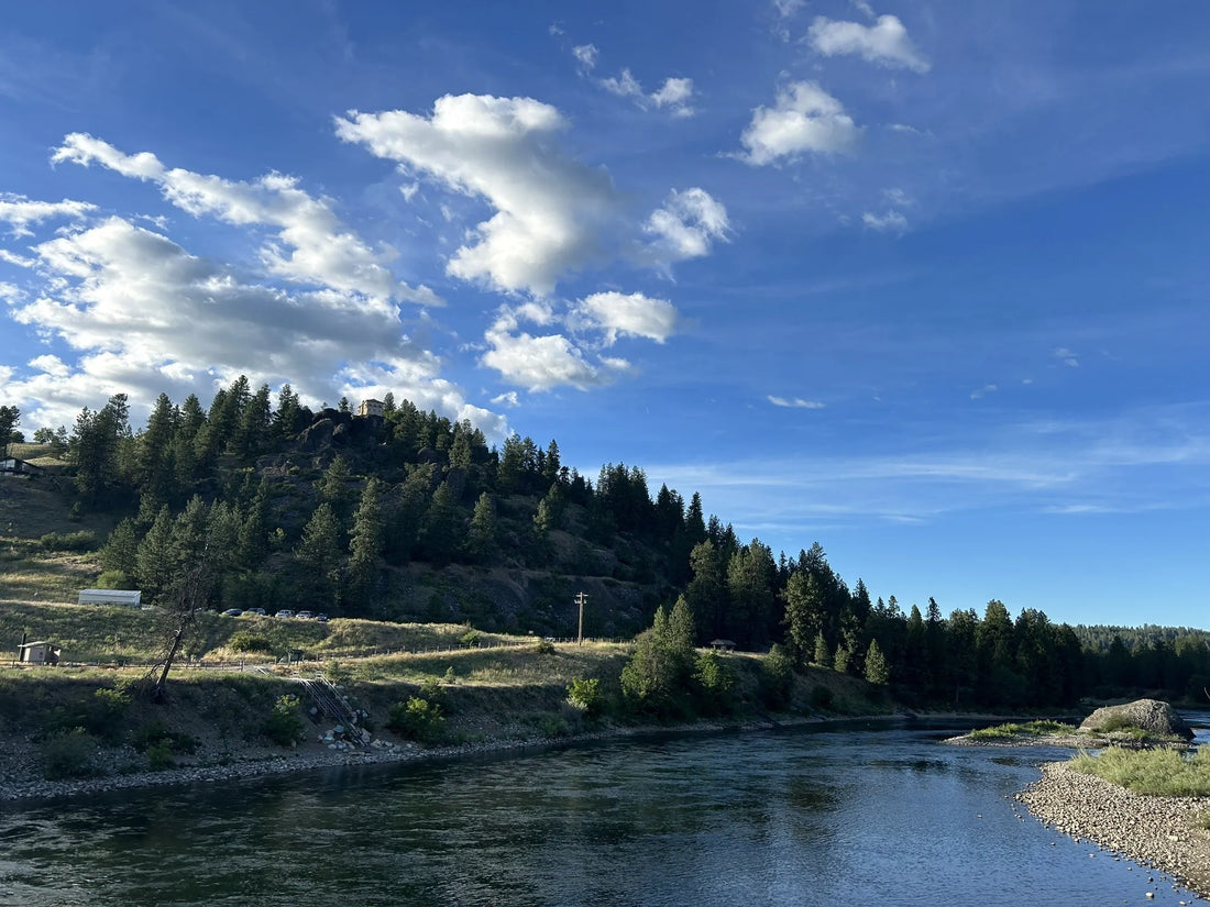 Top or Best Graphic Design Subscription Agencies and Companies in Idaho