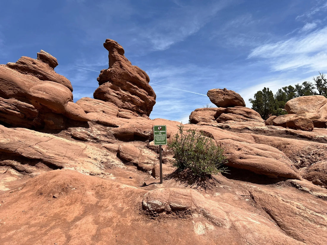 Top Influencer Marketing Agencies and Companies in Colorado