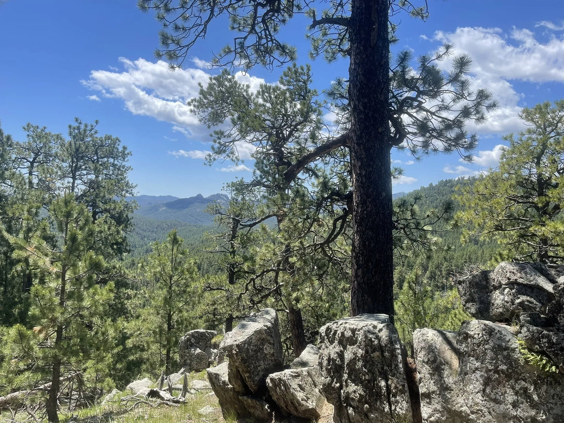 Best or Top X (Twitter) Management Agencies and Companies in Sioux Falls, South Dakota