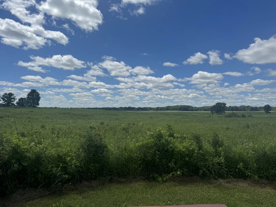 Top or Best Stationery Design Agencies and Companies in Illinois