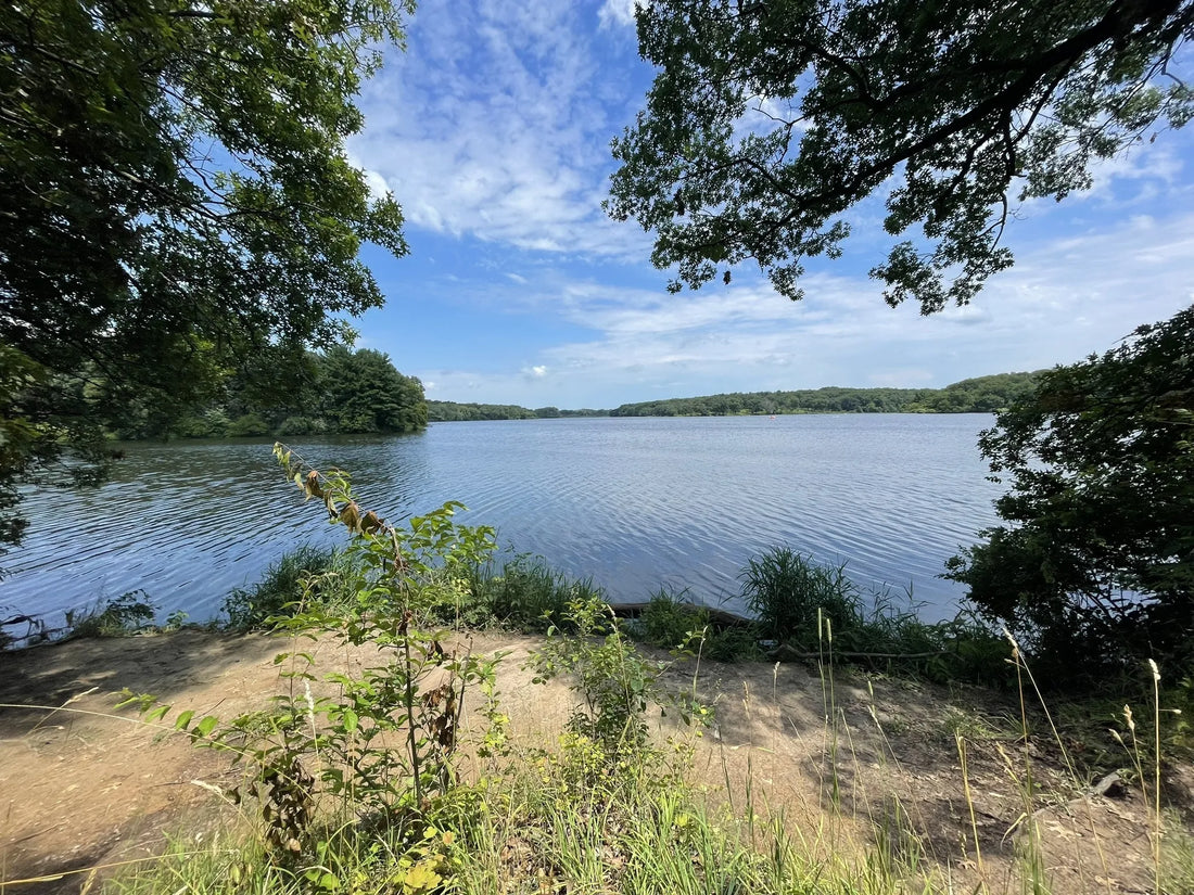 Top or Best Snapchat Management Agencies and Companies in Illinois