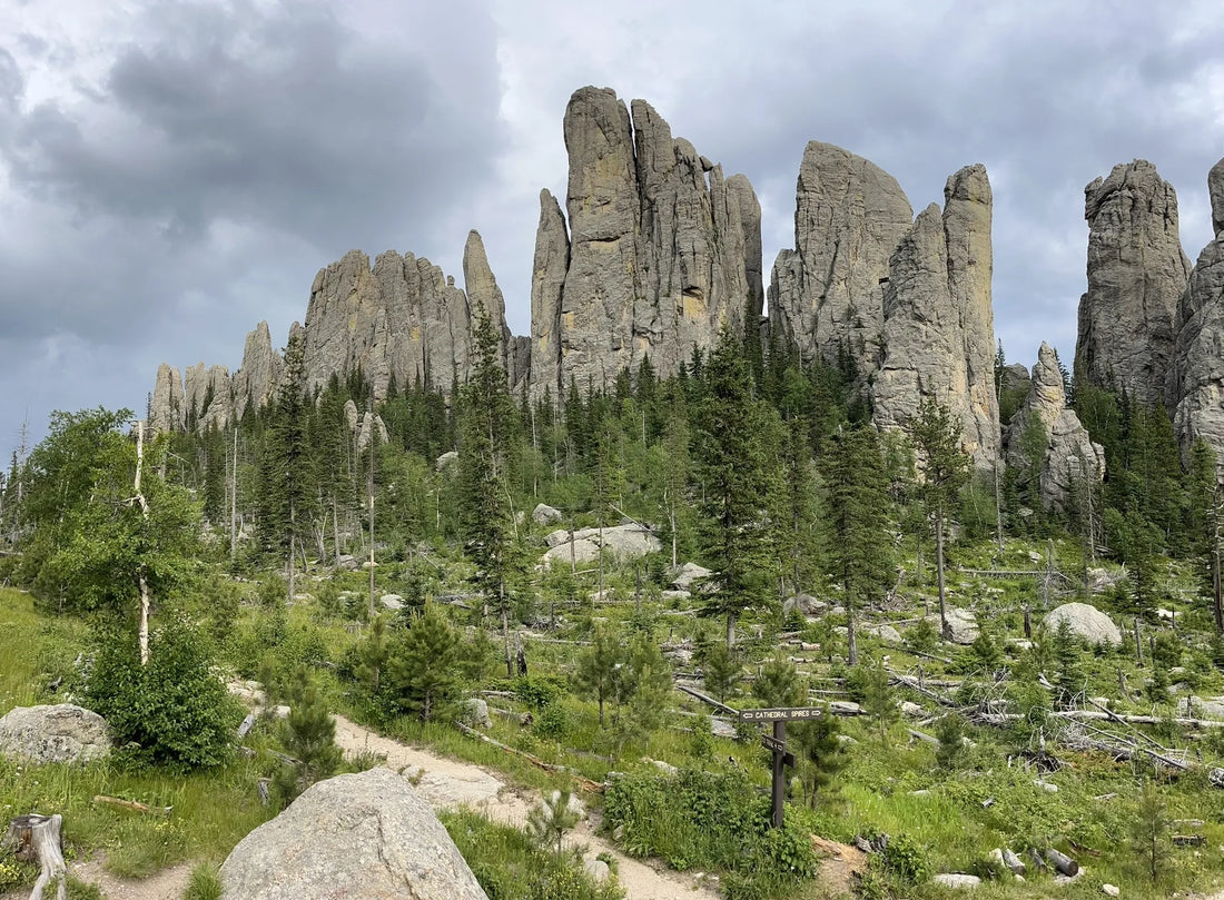 Best or Top Business Card Design Agencies and Companies in Sioux Falls, South Dakato