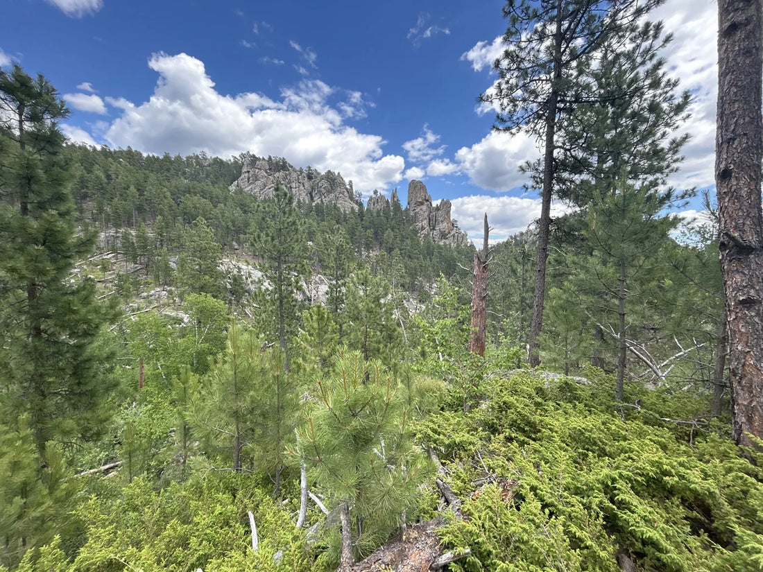 Best or Top Custom Graphics for Videos Agencies and Companies in Sioux Falls, South Dakota