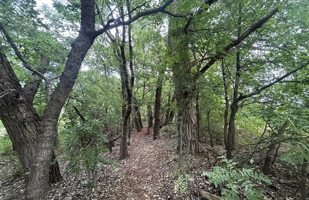 Top or Best Postcard Design Agencies and Companies in Enid, Oklahoma