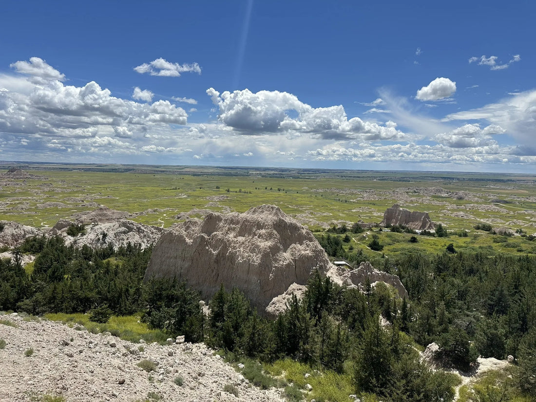 Best or Top Logo Design Agencies and Companies in Sioux Falls, South Dakota