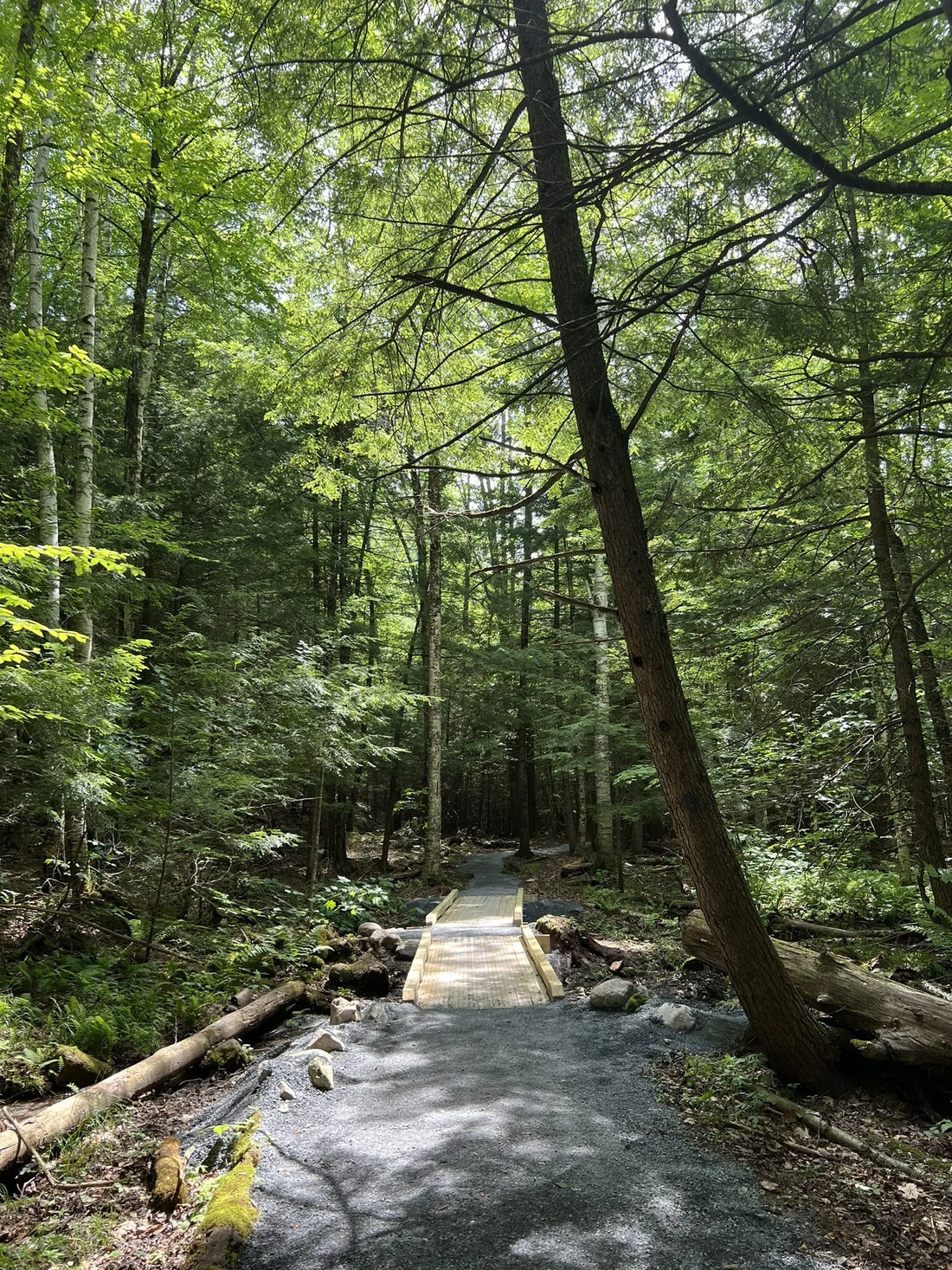 Best or Top Logo Animation Agencies and Companies in St. Johnsbury, Vermont