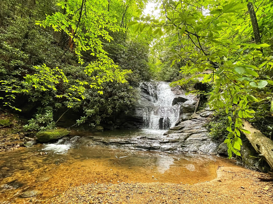 Top Logo Design Agencies and Companies in Georgia