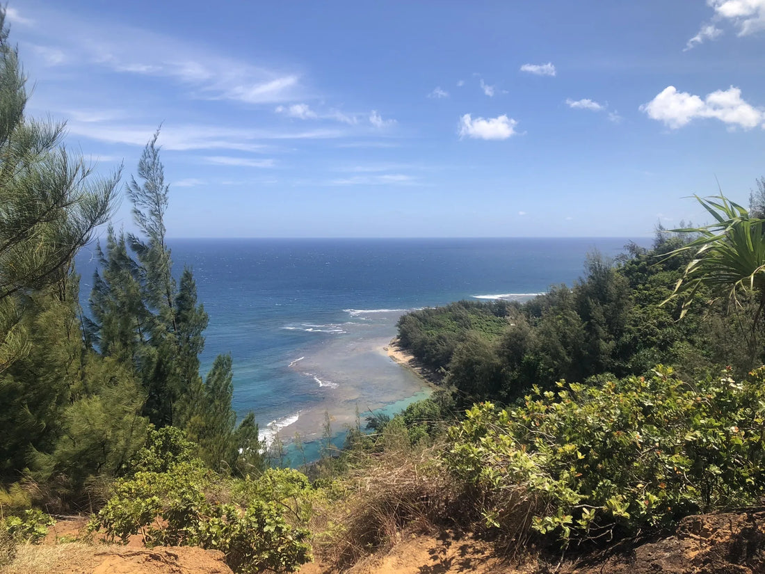 Top or Best Brand Collaboration Agencies and Companies in Hawaii